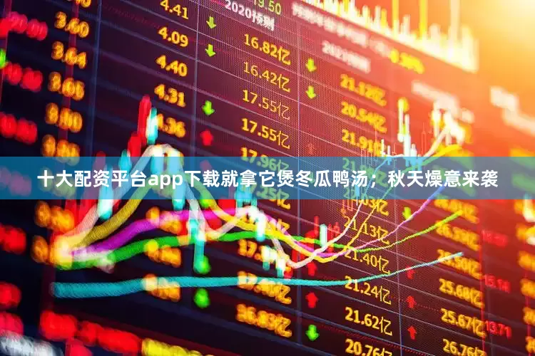 十大配资平台app下载就拿它煲冬瓜鸭汤；秋天燥意来袭